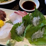 海住 - 生シラスもたっぷり！