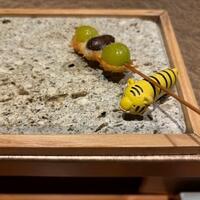 鮨トキドキ串 海老虎 - 