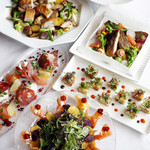 イグレック ベガ