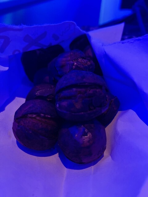 Kyotanba Nishikichiba Honten photo 3