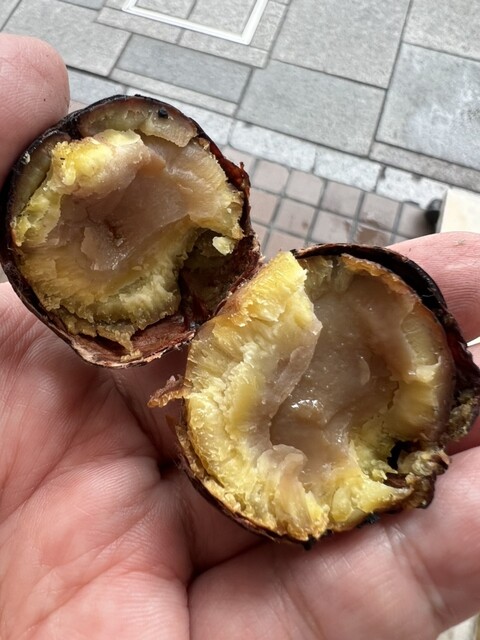 Kyotanba Nishikichiba Honten