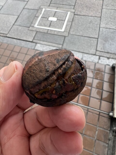 Kyotanba Nishikichiba Honten photo 2