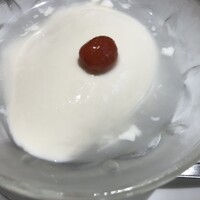 雪梅花 菜根譚 - 