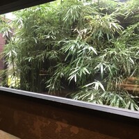 雪梅花 菜根譚 - 