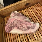 アカミヤコウシ - 