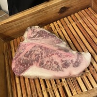 アカミヤコウシ - 