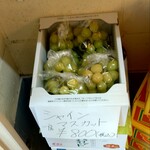 新藤フルーツ ICHIBA CAFE - シャインマスカット 販売あり (2024.10.03)