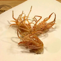 お座敷 天婦良 あやめ - 