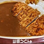 山田うどん - セットのかつカレー