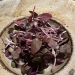 アニエルドール - 