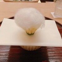 本湖月 -  本湖月 -