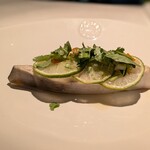 Spice & Dining KALA - 