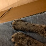 Spice & Dining KALA - 