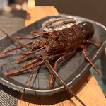 京風鉄板 はせ川 - 