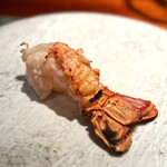 蒼 - 蒼さんでさえ１週間もなかったという赤座が、この前日ぐらいから入ったそう。なんと幸運！
      それでも、かなり無理をして漁をしてくださったそうで、大感謝です。