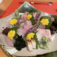 伊豆の旬 やんも 南青山店 - 