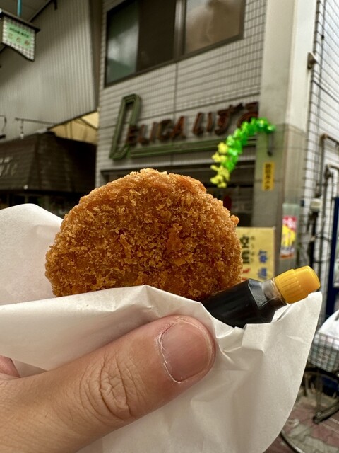 Delica Izumi photo 2