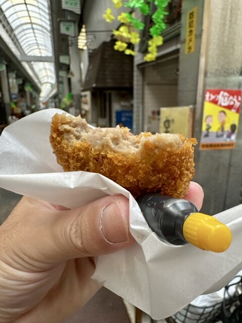 Delica Izumi photo 5