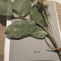 genso - 