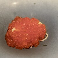 蒼 - 出来たてホヤホヤの新いくら♪
                いくら自体の、卵の味がしっかり。