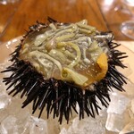HAGI - ウニ、じゅんさい