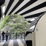 うおぬま倉友農園 おにぎり屋 - 