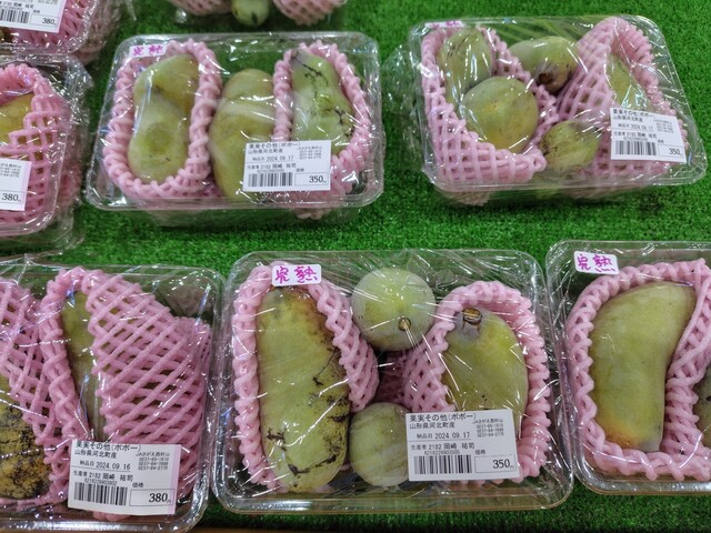 アグリランドひな産直センター - さくらんぼ東根（その他）の写真