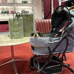 L'ATELIER de KARUIZAWA