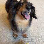 L'ATELIER de KARUIZAWA