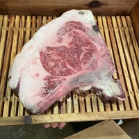 アカミヤコウシ - 