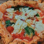 サントフエゴ 橋本 - 