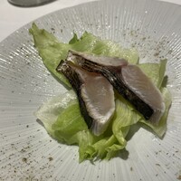 ヤマガタ サンダンデロ - 