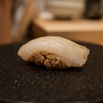 髙橋 謙太郎 - アオリイカ