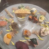 オッジ ダルマット 西麻布店 - 