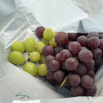 仲野観光果樹園 - 