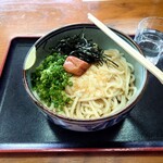 上田うどん店 - 