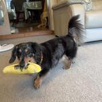 L'ATELIER de KARUIZAWA