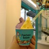 フォンタナ ジェラート