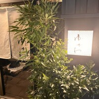 和牛焼肉 神楽坂 牛ます - 
