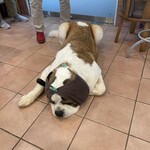 バーナード スクエア - 