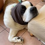 バーナード スクエア - 