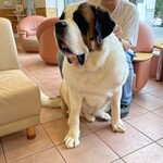 バーナード スクエア - 