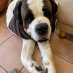 バーナード スクエア - 