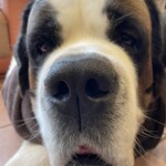 バーナード スクエア - 