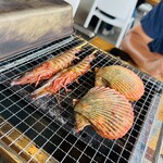 キツキテラス - 