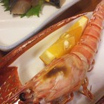 ちょろ松 - 車海老と鯖