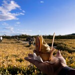 ラ・コリーナ近江八幡 フードコート - 