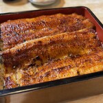札幌のうなぎや - 鰻一匹分の特うな重