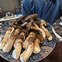 たでの葉 - 松茸