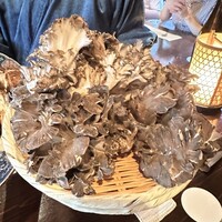 たでの葉 - 天然舞茸